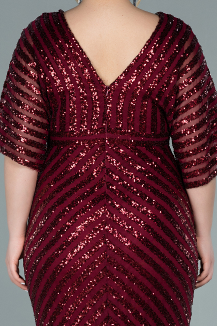 Long Burgundy Plus Size Evening Dress ABU2309