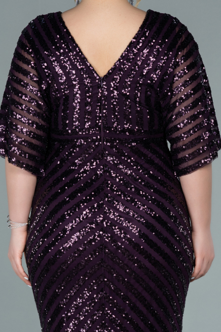 Long Dark Purple Plus Size Evening Dress ABU2309