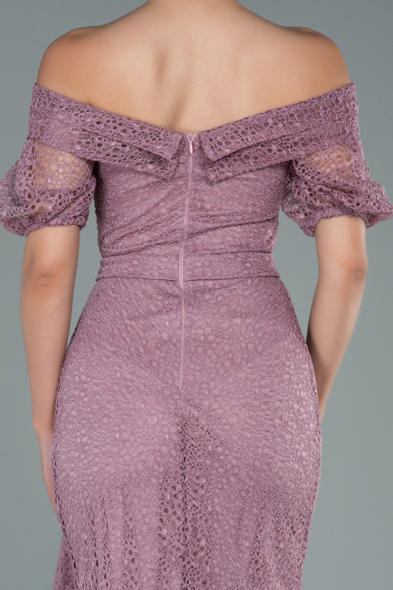 Long Powder Color Dantelle Evening Dress ABU2427