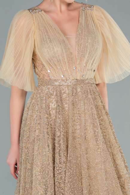 Long Gold Evening Dress ABU2472