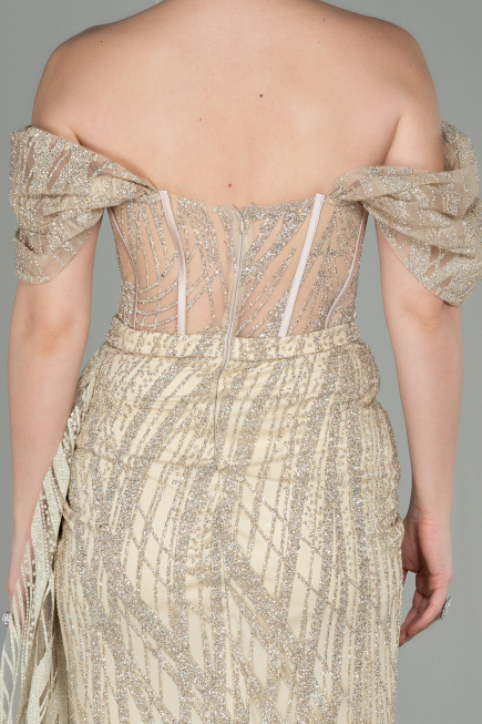 Gold Long Evening Dress ABU2706