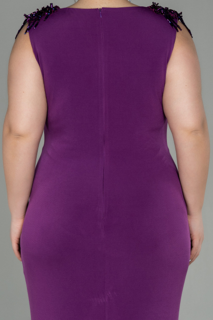 Long Plum Plus Size Evening Dress ABU2854