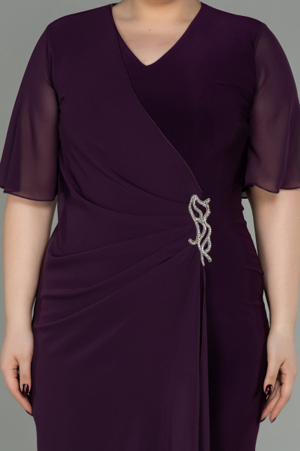 Plum Short Chiffon Plus Size Evening Dress ABK1299