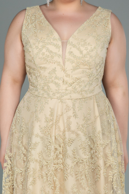 Long Gold Plus Size Evening Dress ABU2537