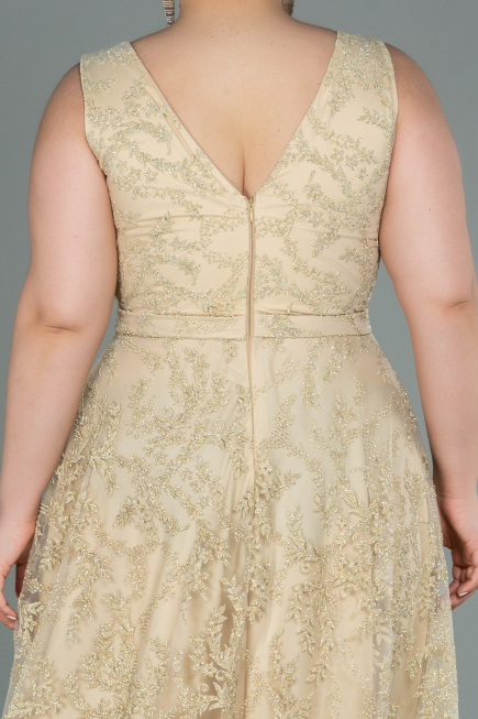 Long Gold Plus Size Evening Dress ABU2537