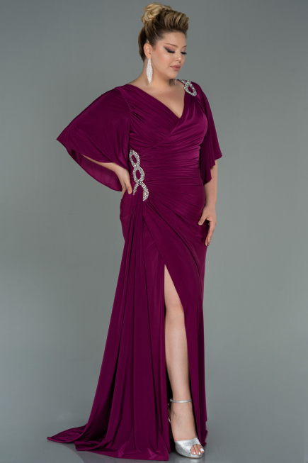 Long Plum Plus Size Evening Dress ABU3173