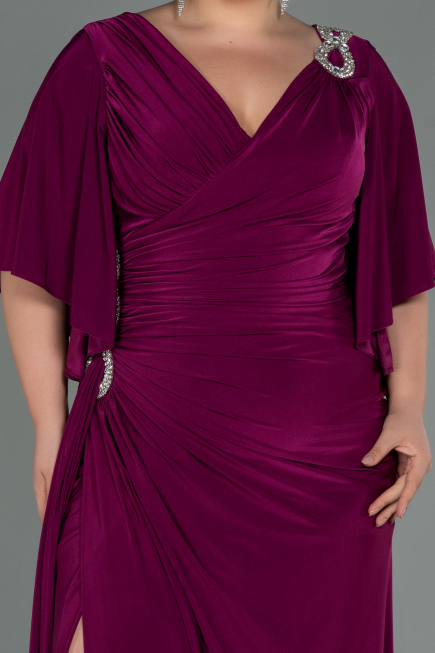 Long Plum Plus Size Evening Dress ABU3173