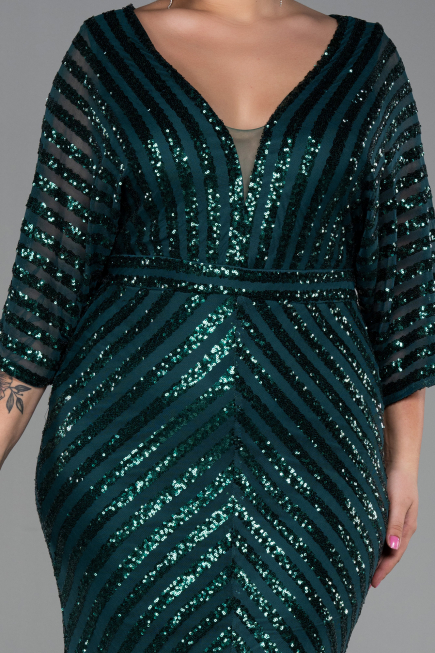 Emerald Green Long Plus Size Evening Dress ABU900
