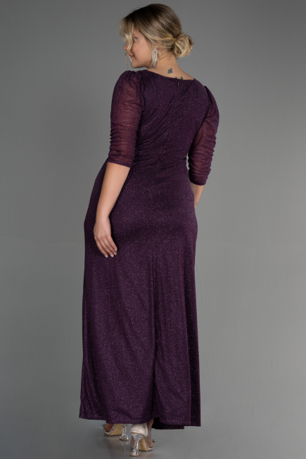 Long Purple Plus Size Evening Dress ABU3279