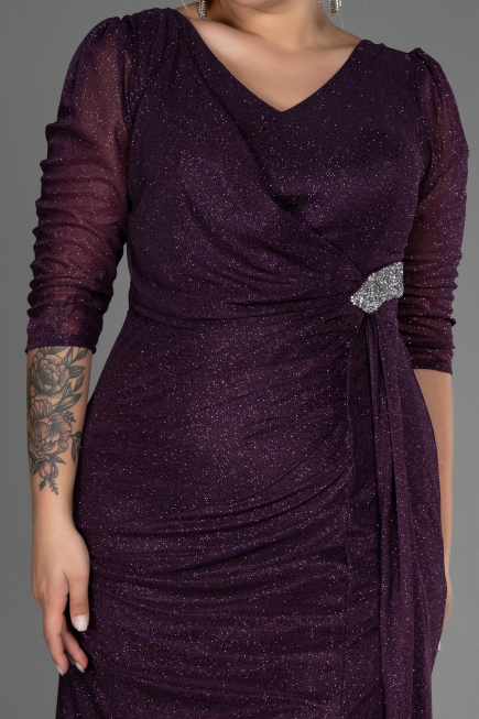 Long Purple Plus Size Evening Dress ABU3279