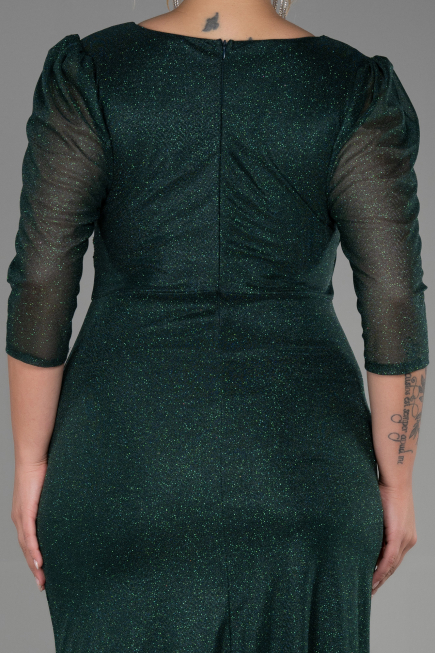 Long Emerald Green Plus Size Evening Dress ABU3279