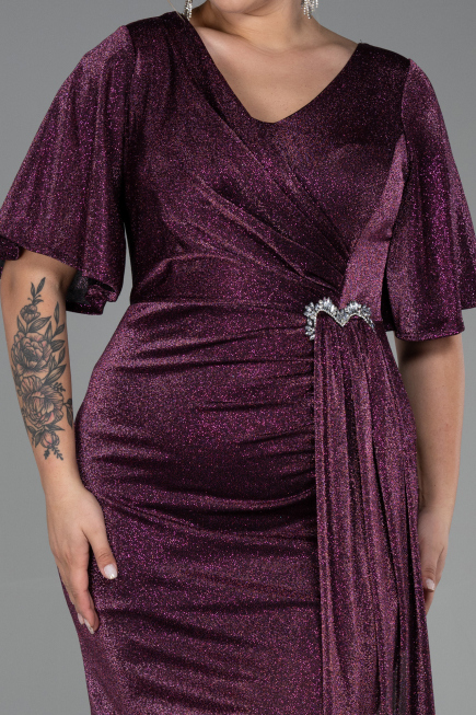 Long Plum Plus Size Evening Dress ABU3282