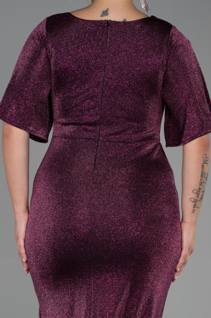 Long Plum Plus Size Evening Dress ABU3282