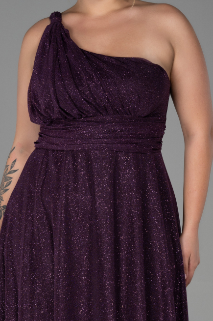Long Dark Purple Plus Size Evening Dress ABU3289