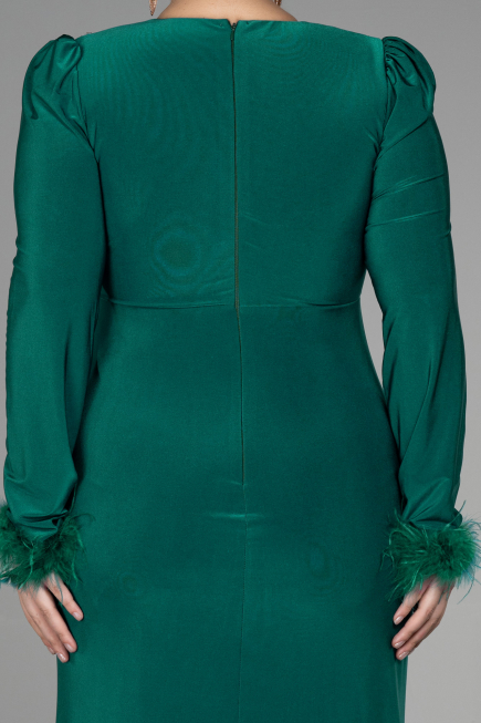 Long Emerald Green Plus Size Evening Dress ABU2832