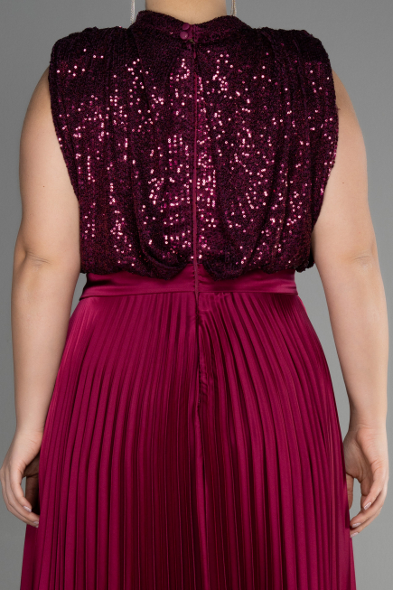 Plum Long Plus Size Evening Dress ABU3341