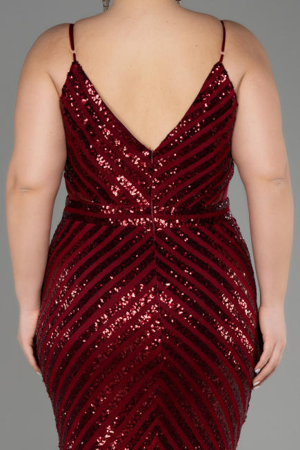 Long Burgundy Plus Size Evening Dress ABU1661