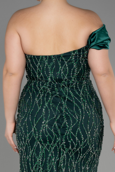 Long Emerald Green Plus Size Engagement Dress ABU3739