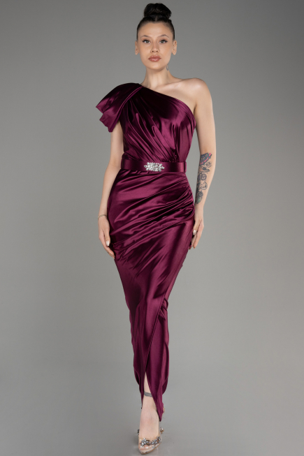 Plum Long Evening Dress ABU2982