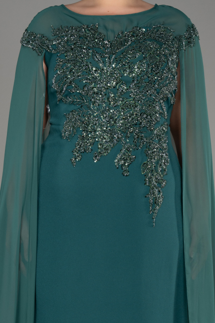 Emerald Green Long Chiffon Sleeve Plus Size Evening Dress ABU3913