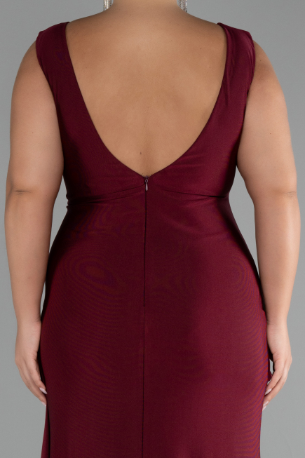 Plum Long Formal Plus Size Dress ABU3737