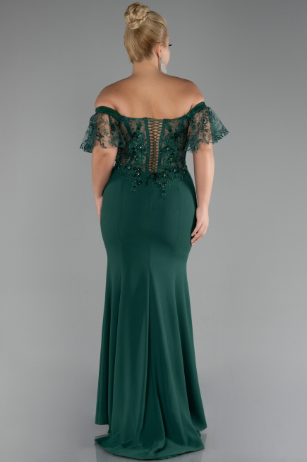 Long Emerald Green Dantelle Plus Size Evening Dress ABU2571