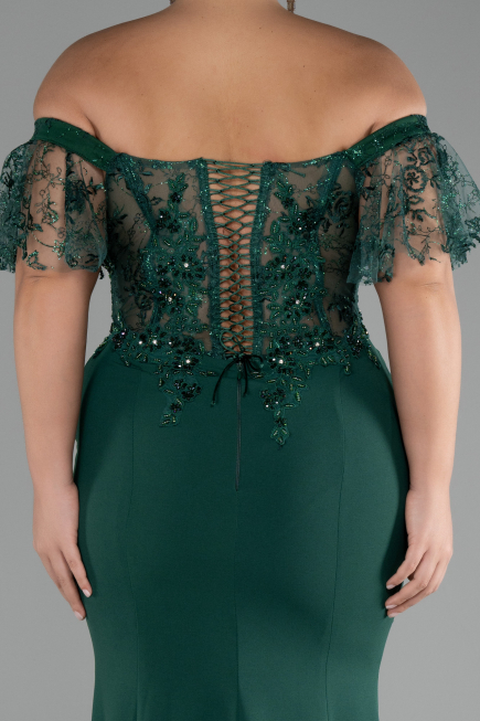 Long Emerald Green Dantelle Plus Size Evening Dress ABU2571