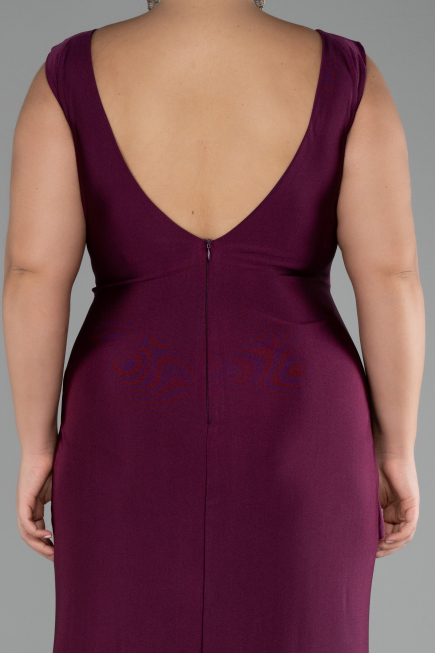Plum Long Formal Plus Size Dress ABU3737