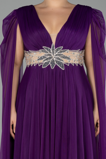 Long Purple Plus Size Engagement Dress ABU4259