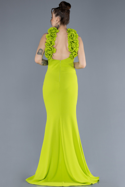 Long Pistachio Green Evening Dress ABU4610