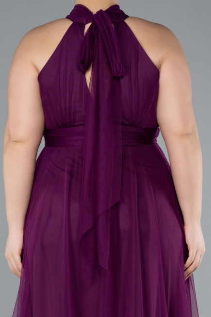 Long Plum Plus Size Evening Dress ABU3253