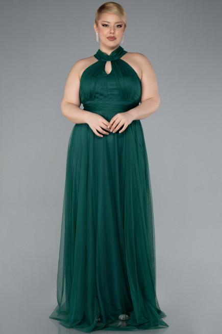 Long Emerald Green Plus Size Evening Dress ABU3253