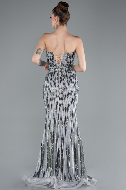 Grey Long Plus Size Evening Dress ABU4899