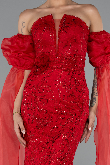 Long Red Dantelle Evening Dress ABU5102