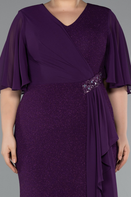 Dark Purple Long Plus Size Evening Dress ABU2651