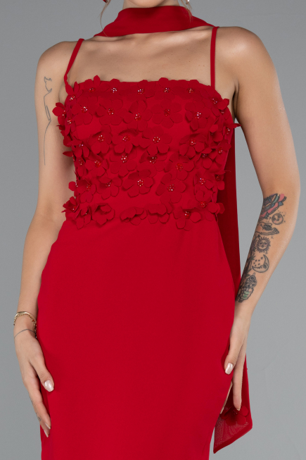 Long Red Evening Dress ABU5181