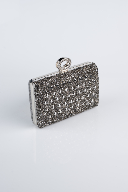 Platinum Silvery Evening Bag SH830