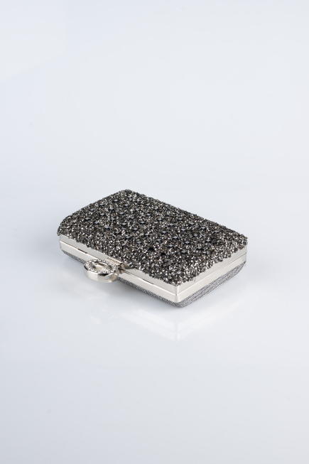 Platinum Silvery Evening Bag SH830