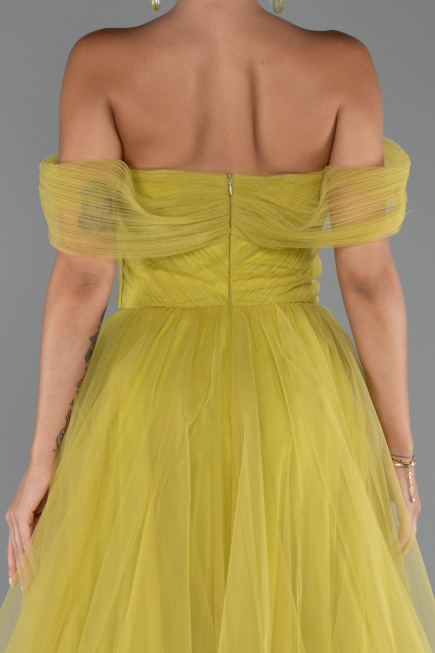 Long Pistachio Green Evening Dress ABU5302