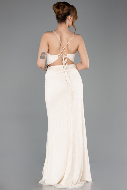 Long Beige Dantelle Prom Gown ABU5719