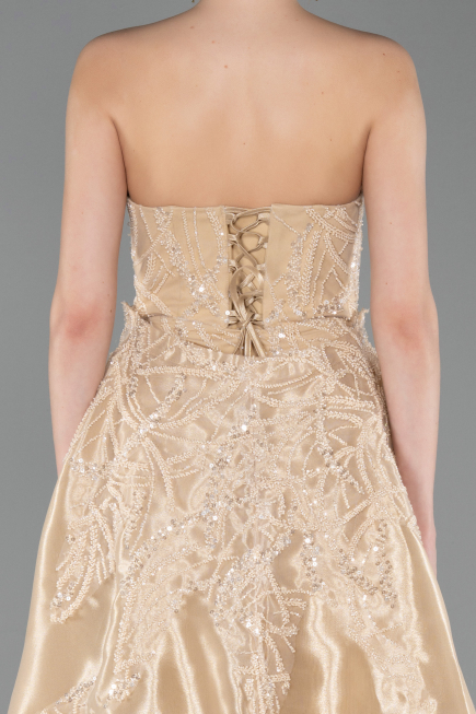 Gold Long Beaded Evening Dress ABU5511