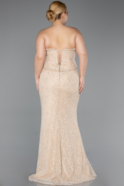 Long Beige Dantelle Plus Size Evening Gown ABU5994