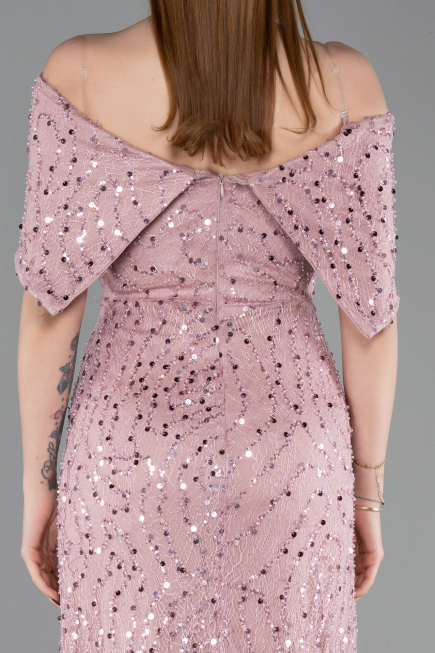Long Powder Color Dantelle Prom Gown ABU6119