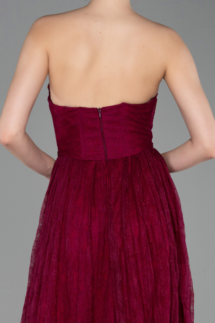 Long Plum Dantelle Prom Gown ABU6160
