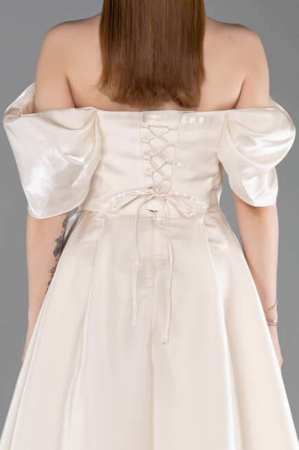 Long Beige Evening Dress ABU6191
