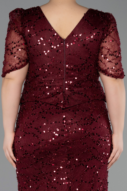 Long Burgundy Beaded Plus Size Evening Gown ABU6334