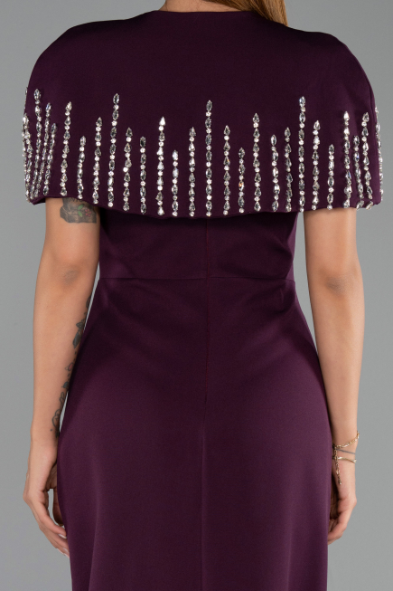 Long Plum Evening Dress ABU5889