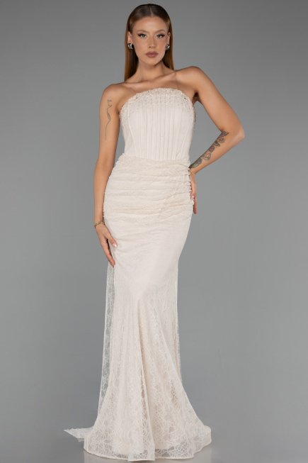Long Beige Dantelle Mermaid Evening Gown ABU6256