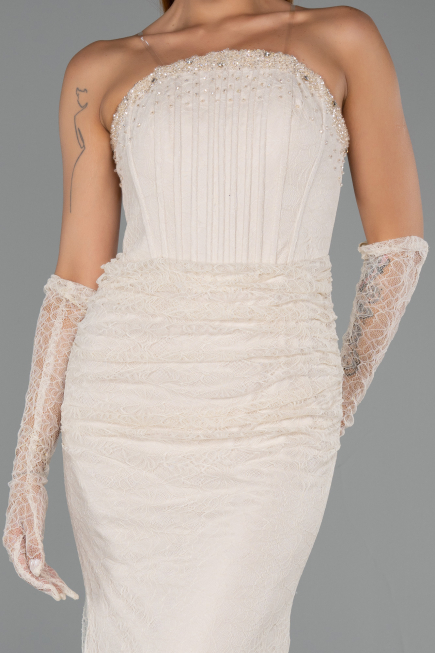 Long Beige Dantelle Mermaid Evening Gown ABU6256