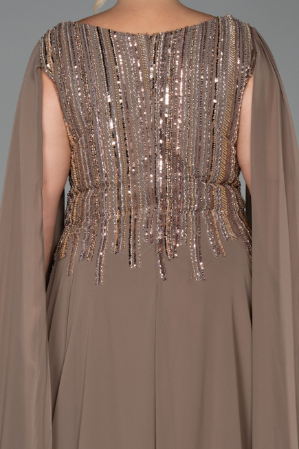 Long Mink Chiffon Plus Size Evening Gown ABU6435